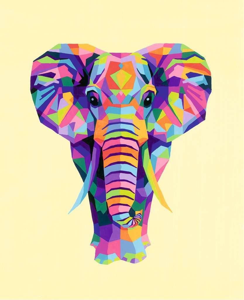 Peinture par numéros adultes - Éléphant - Pack complet - Animaux - Pack  Hobby - 40x50 cm
