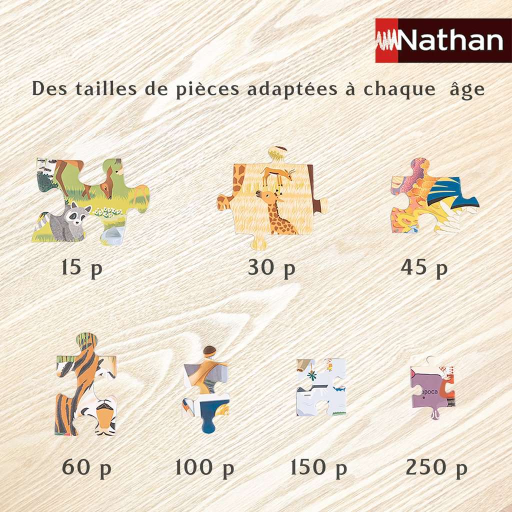 Puzzle cadre 15 pièces : Le Roi Lion Disney : Simba et Nala - Nathan - Rue  des Puzzles