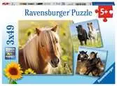 Puzzles 3x49 p - Adorables poneys Puzzle;Puzzle enfant - Ravensburger