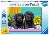 Puzzle 300 p XXL - Labradors noirs Puzzle;Puzzle enfant - Ravensburger