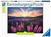 Puzzle 500 p - Les lupins (Nature edition) Puzzle;Puzzle adulte - Ravensburger