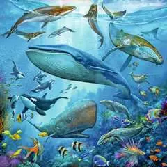 Puzzles 3x49 p - Le monde animal de l'océan - Image 2 - Cliquer pour agrandir