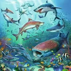 Puzzles 3x49 p - Le monde animal de l'océan - Image 3 - Cliquer pour agrandir