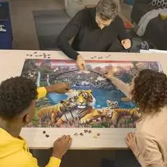 Puzzle 3000 p - Tigres au lagon - Image 3 - Cliquer pour agrandir