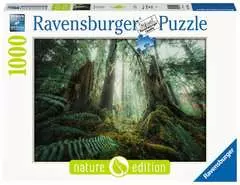 Puzzle 1000 p - En forêt  (Nature edition) - Image 1 - Cliquer pour agrandir