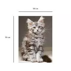 Nathan puzzle 1000 p - Le chaton Maine Coon - Image 5 - Cliquer pour agrandir