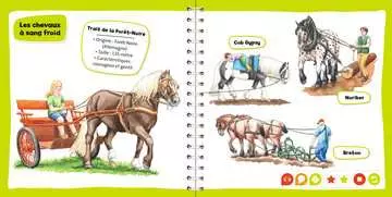 tiptoi mini doc chevaux tiptoi®;Livres tiptoi® - Image 10 - Ravensburger