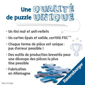 Puzzle 4000 pièces & puzzle 5000 pièces - Rue des Puzzles