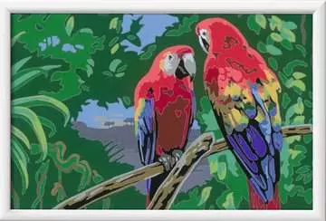 Numéro d Art - 31x21cm - Perroquets Loisirs créatifs;Peinture - Numéro d art - Image 2 - Ravensburger