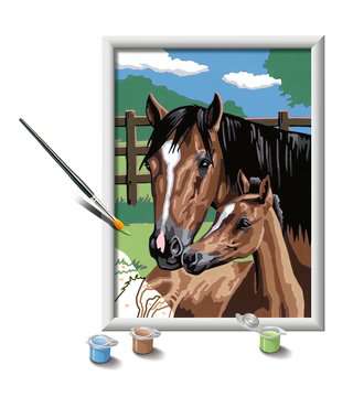 Peinture par numéro Horse and Dandelions pour adultes - Kit créatif numero  d'art Bimago