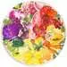 Puzzle rond 500 p - Fruits et légumes (Circle of Colors) Puzzle;Puzzle adulte - Image 2 - Ravensburger