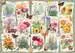 Puzzle 1000 p - Affiches de fleurs du jardin Puzzle;Puzzle adulte - Image 2 - Ravensburger