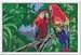 Numéro d Art - 31x21cm - Perroquets Loisirs créatifs;Peinture - Numéro d art - Image 2 - Ravensburger